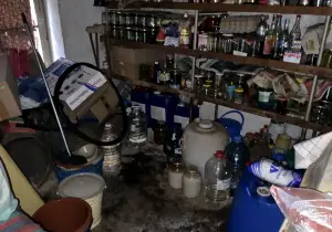 Почистване на тавани и мазета след гризачи