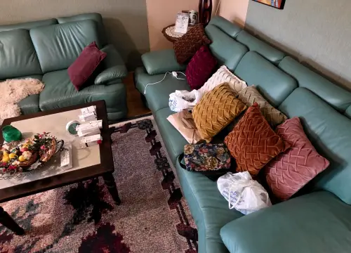 Изнасяне на битови вещи и смесени отпадъци