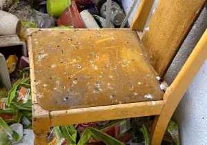 Почистване на балкони от гълъбово гуано